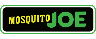 Mosquito Joe